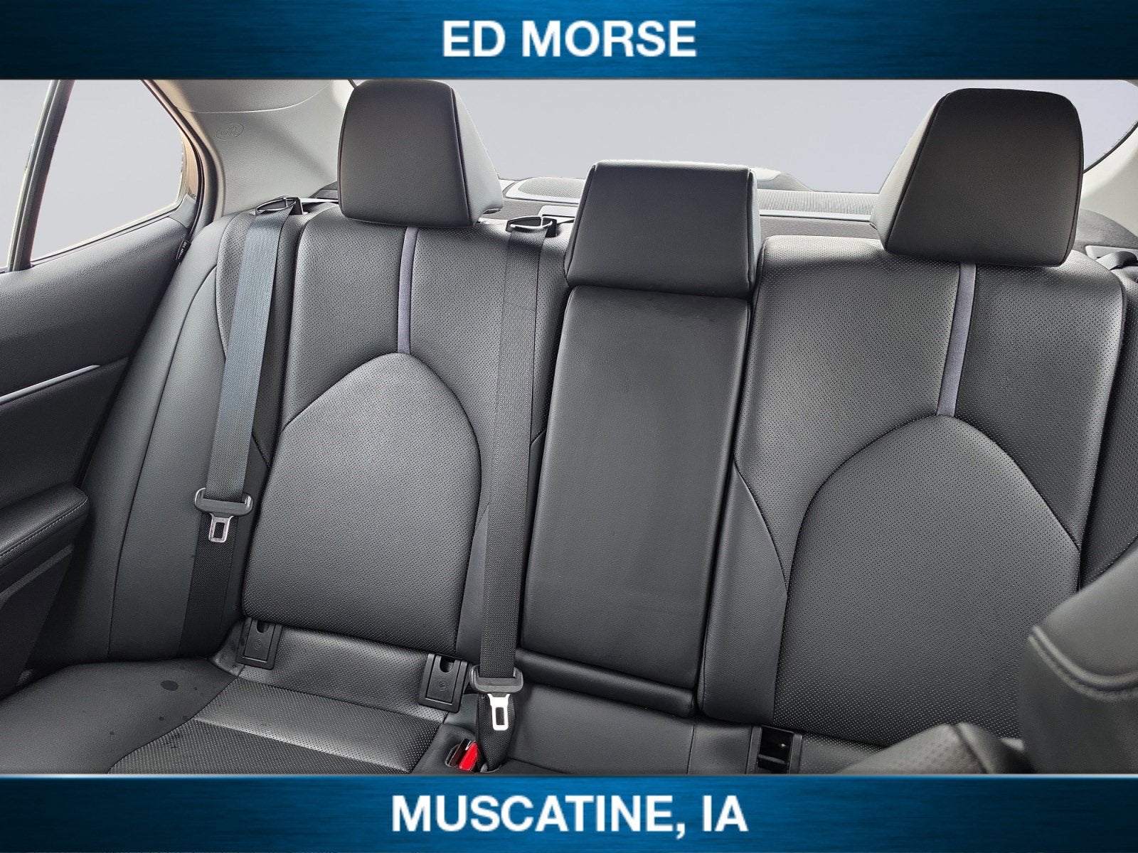 2021 Toyota Camry Hybrid XLE