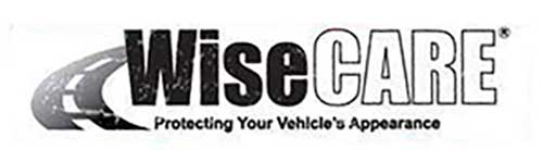 WiseCare Logo